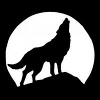le-loup-hurlant-editions.fr